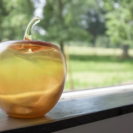 La Pomme Petillante Bed & Breakfast Maisnieres