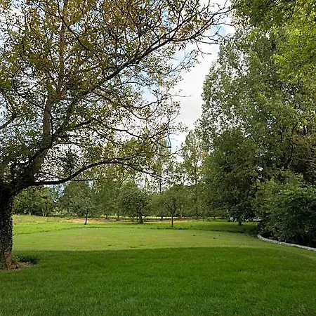 La Pomme Petillante Maisnieres