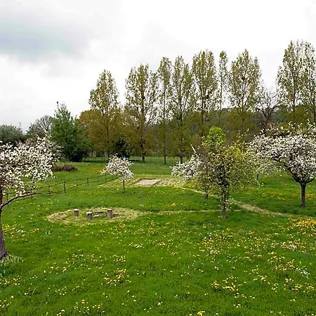 La Pomme Petillante